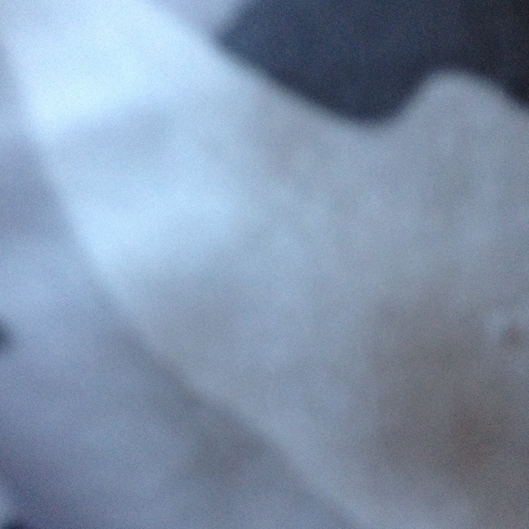 Meet your Posher, Evelyn - Picture 1 of 1