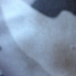 Meet your Posher, Evelyn