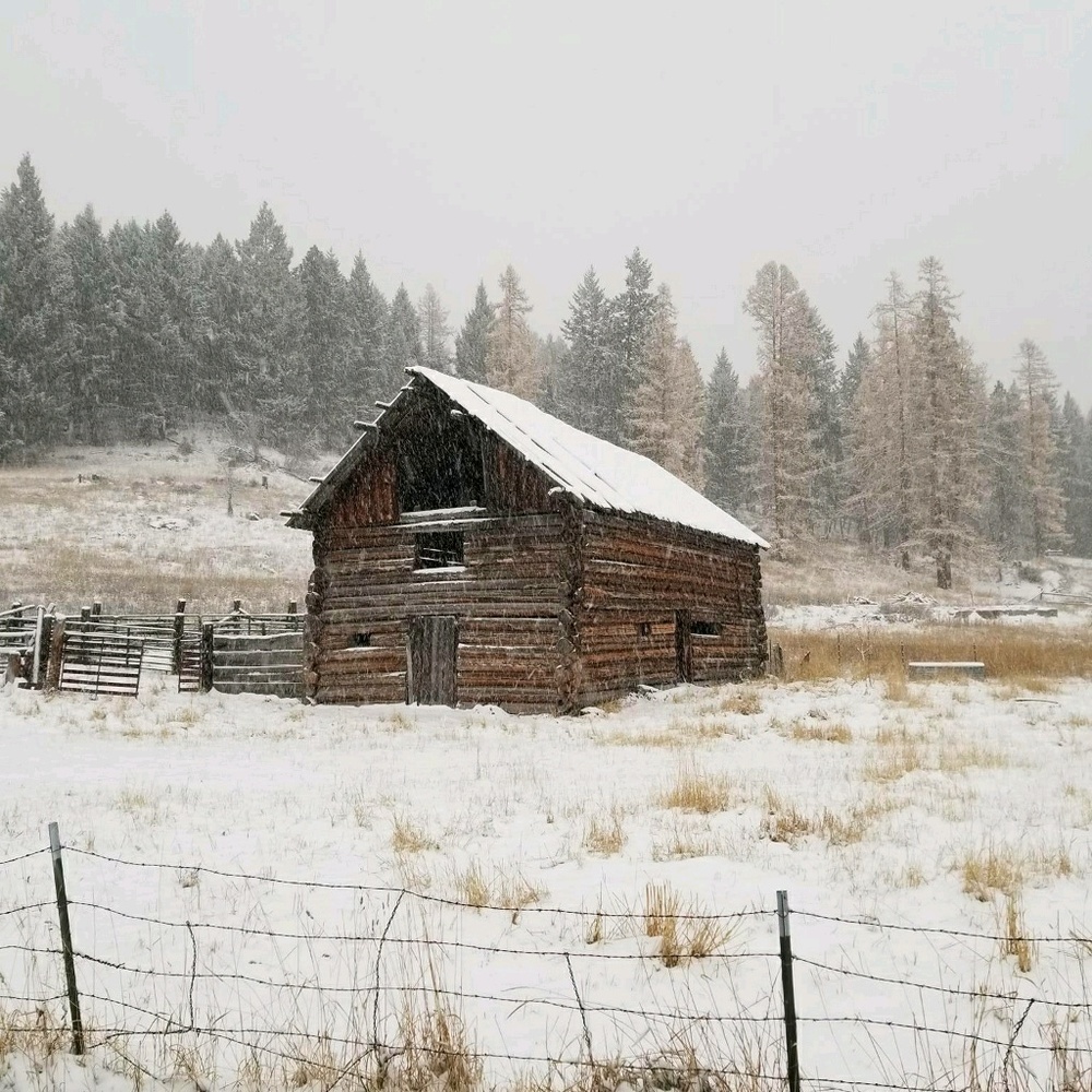 Meet your Posher, Bobby