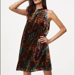 LOFT Velvet Floral Tank Dress Size S