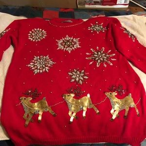 Beautiful Christmas sweater!