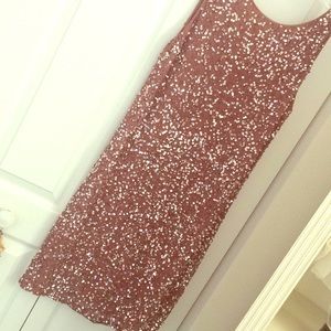 Boston proper sparkle dress