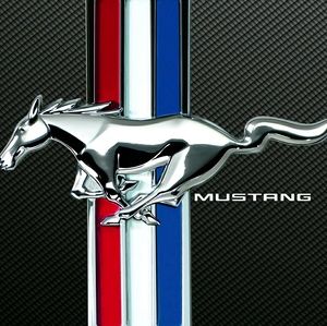 Meet your Posher, Flash