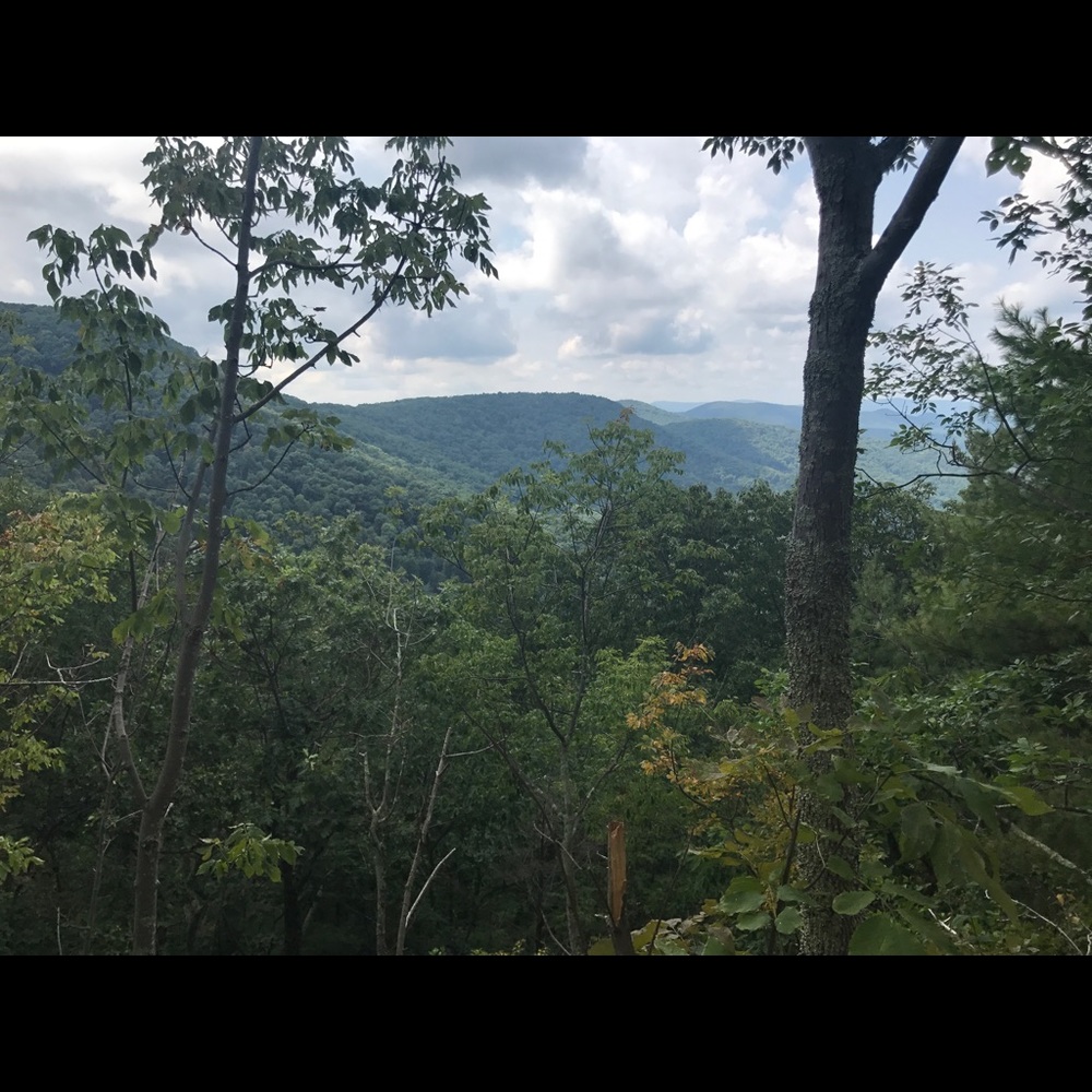 Meet your Posher, Dom