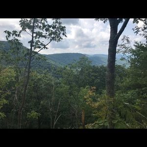 Meet your Posher, Dom