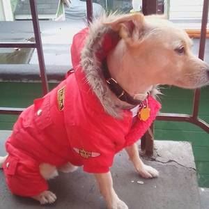 Meet your Posher, Cynthia