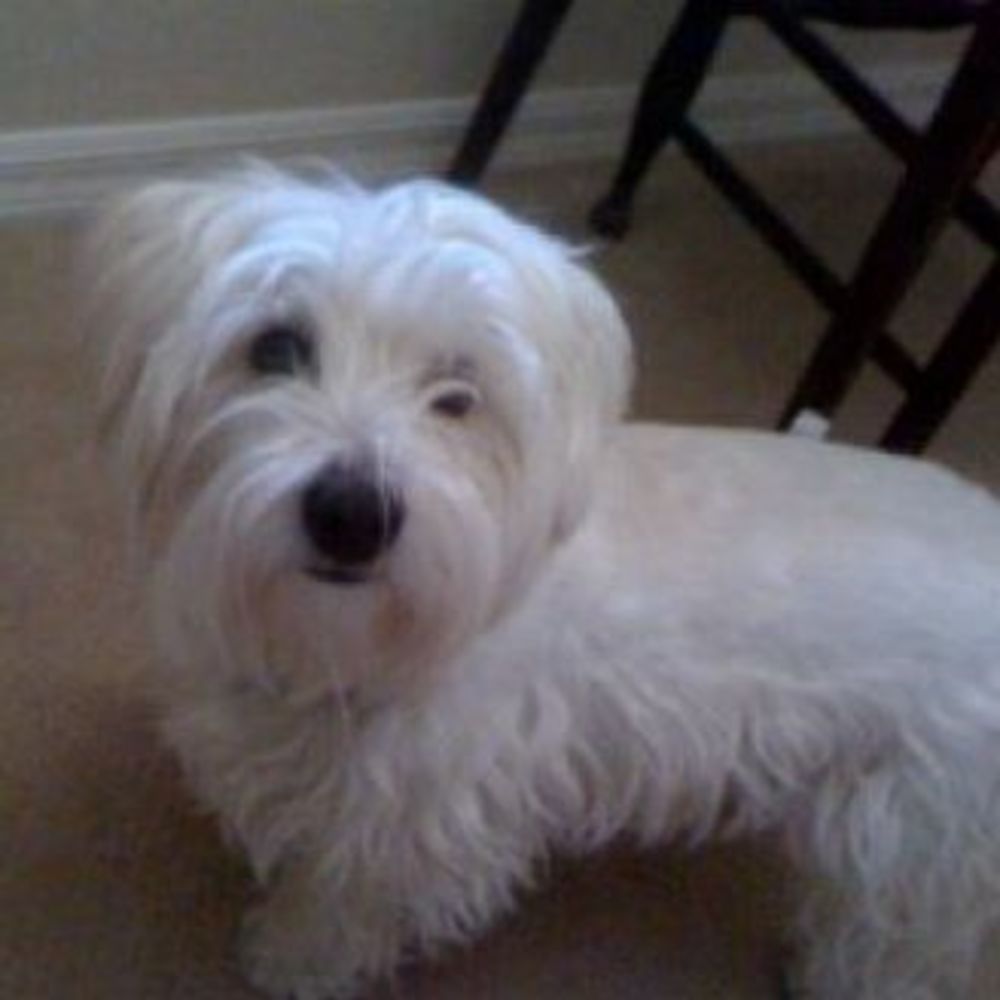 Meet your Posher, Karen