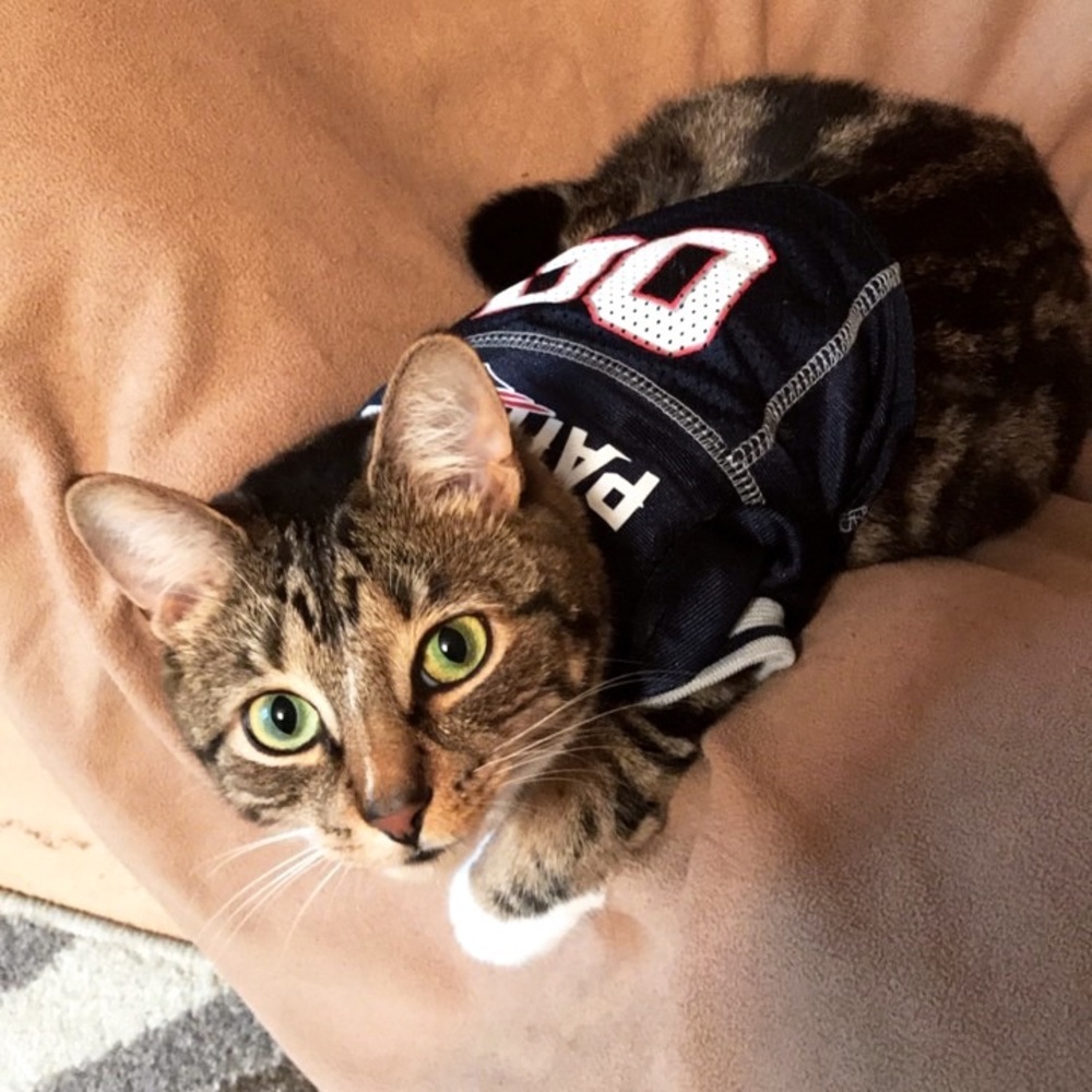 Meet your Posher, Katie