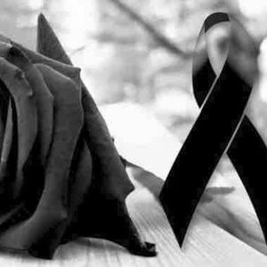 Meet your Posher, Jerry