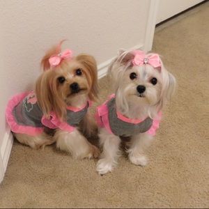 Meet your Posher, Sylvia