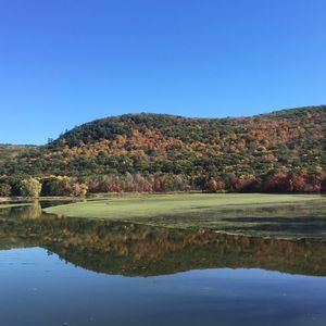 Meet your Posher, Bruce