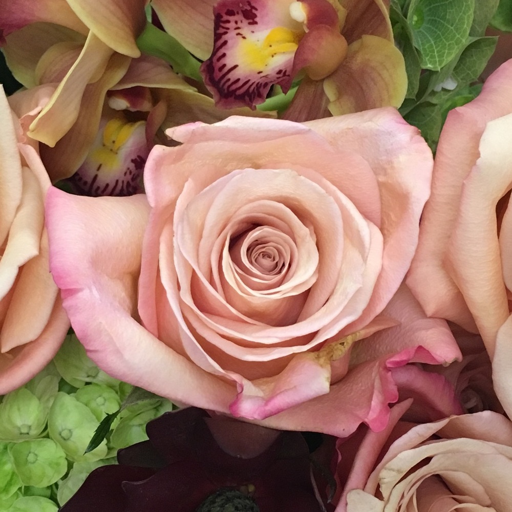 Meet your Posher, Caitlin