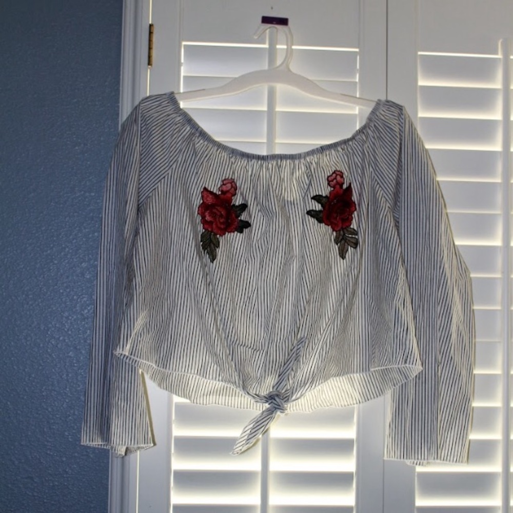 Embroidered Crop Top