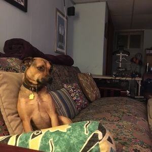 Meet your Posher, Charles