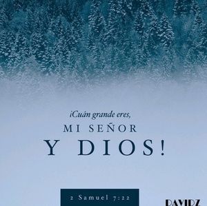 Meet your Posher, Rosy