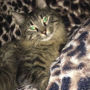 Meet your Posher, Amber