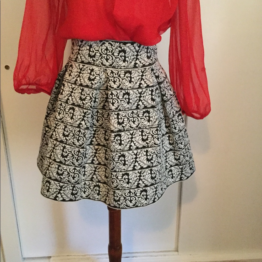 Black and White Embroidered Mini Skirt