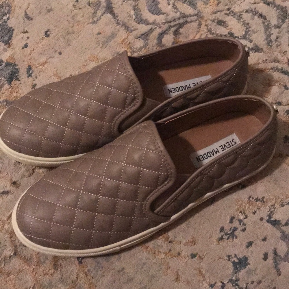 Steve Madden Ecentrcq