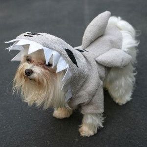 Meet your Posher, Heidi