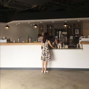 Anthropologie vanessa virginia inkset blooms dress