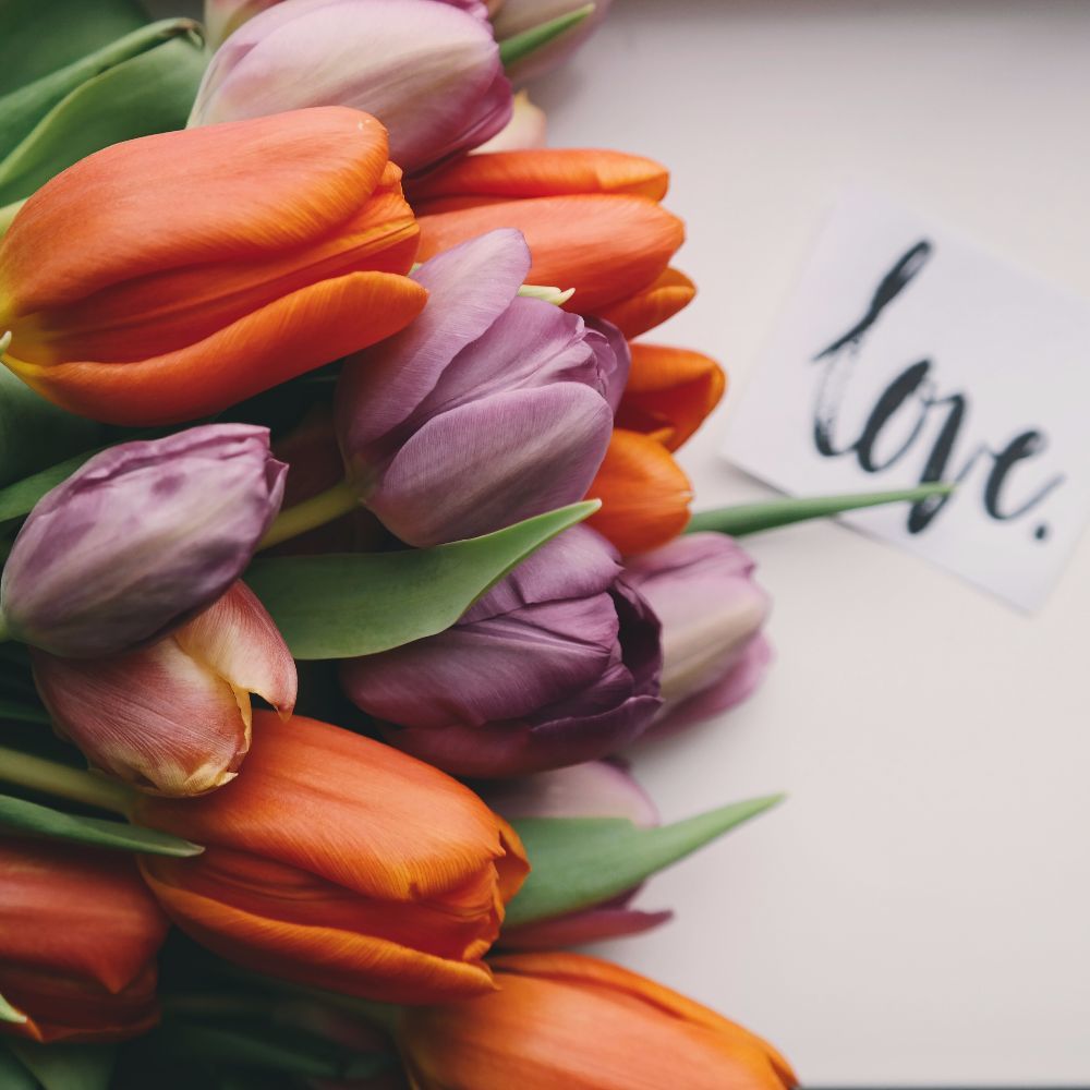 Meet your Posher, Rich