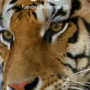 Meet your Posher, Sherry