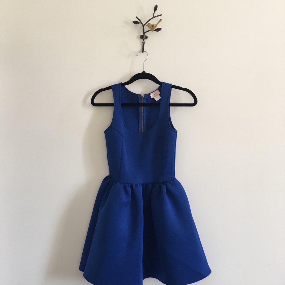 Structured fit and flare cupcake dress 👗