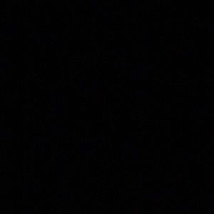 Meet your Posher, Shaun