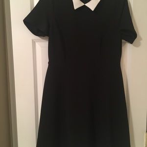 NWT- black fit and flare Forever 21 dress