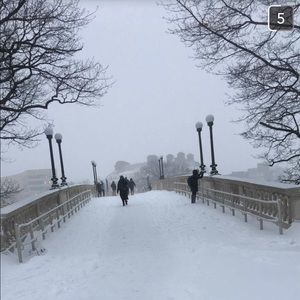 Meet your Posher, Luz