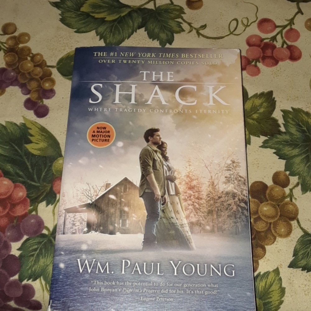Novel The Shack