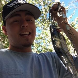 Meet your Posher, Willie