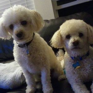 Meet your Posher, Sandra