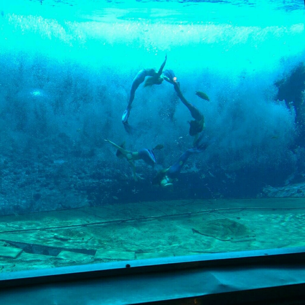 Meet your Posher, Kellie