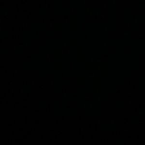 Meet your Posher, Moses