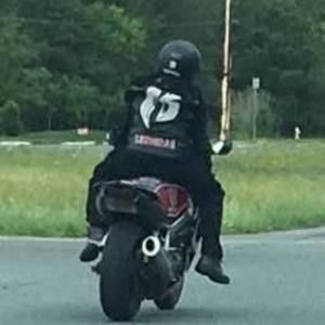 Meet your Posher, Leonidas