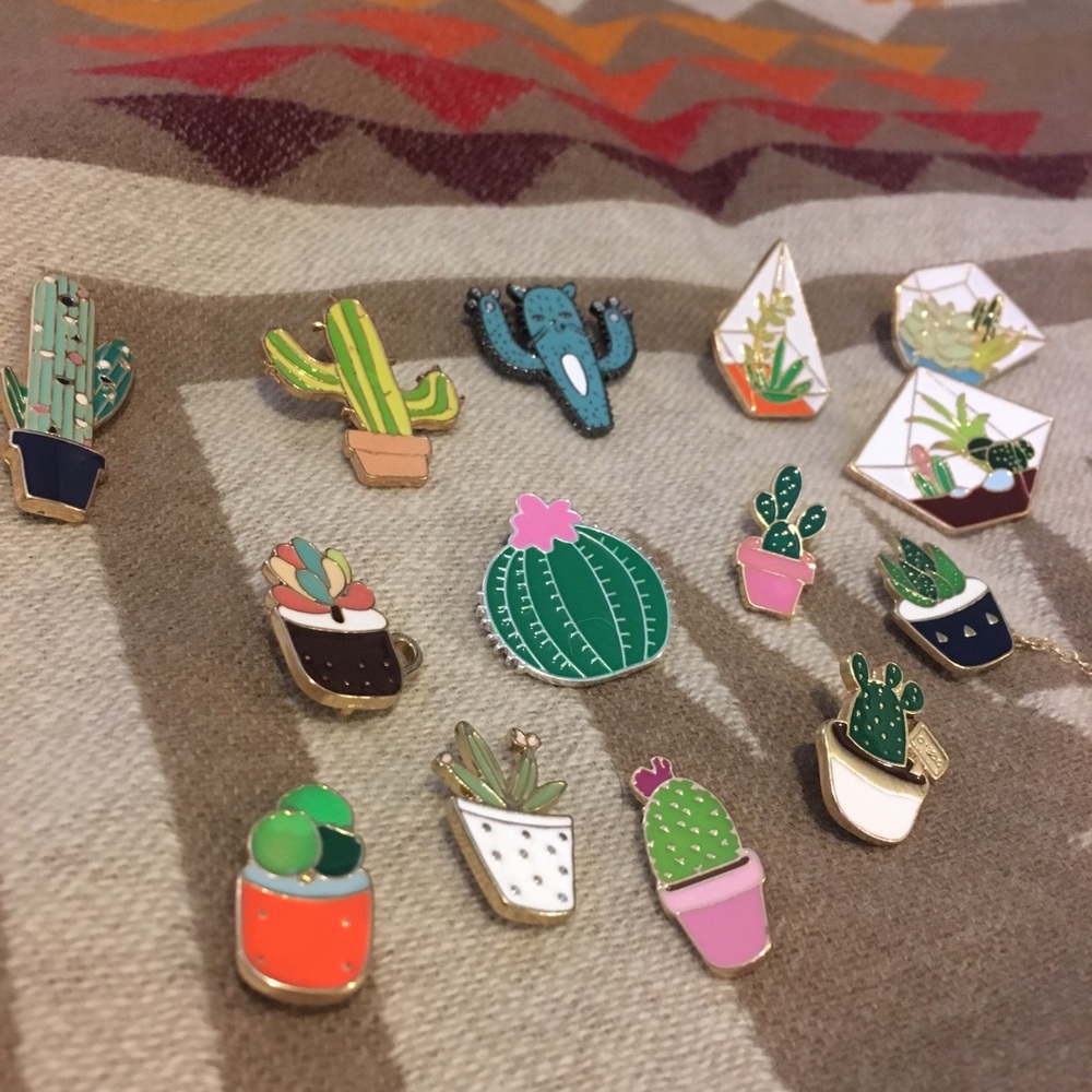 $4 EACH! Succulent Pins