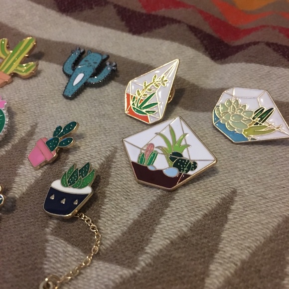 $4 EACH! Succulent Pins - Picture 2 of 3
