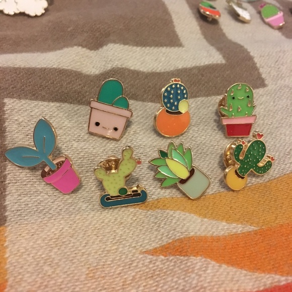 $4 EACH! Succulent Pins - Picture 3 of 3