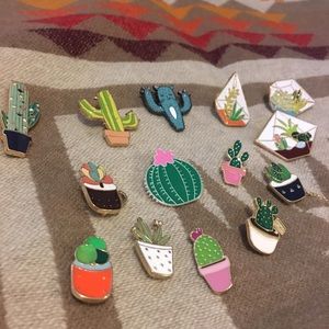$4 EACH! Succulent Pins