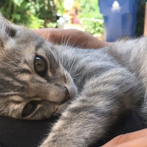 Meet your Posher, Aj