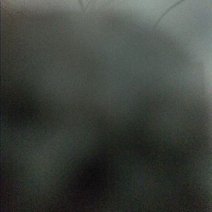 Meet your Posher, Anh