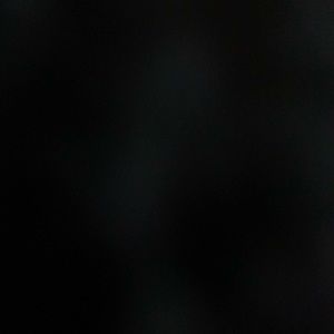 Meet your Posher, Ann