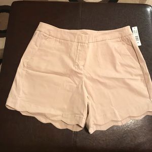 Scalloped Leg Shorts