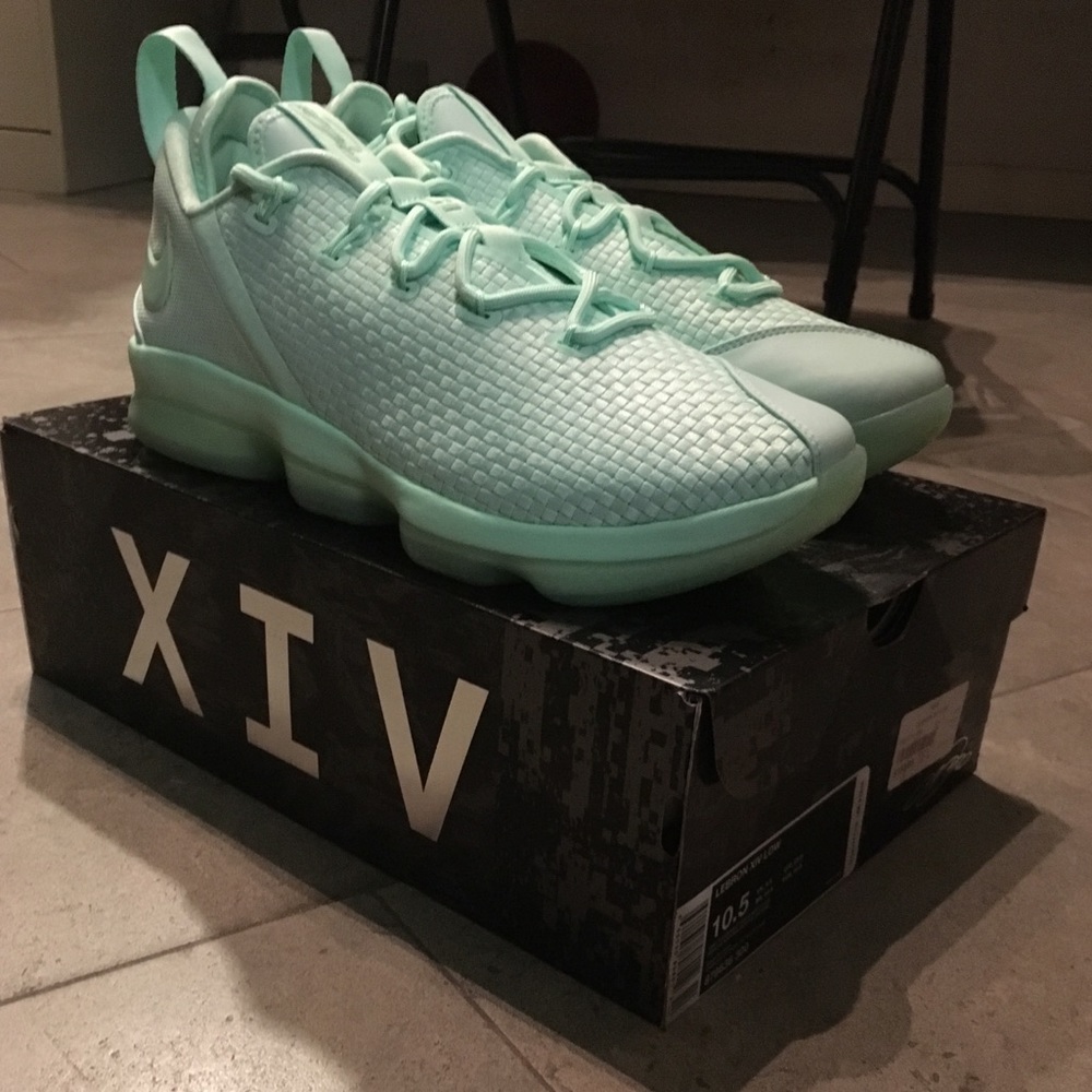 Lebron 14 Low mint