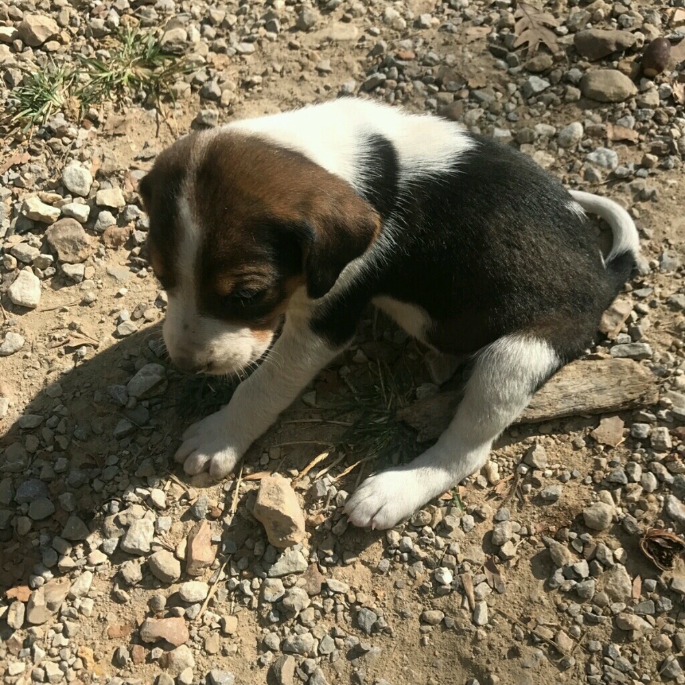 Meet your Posher, Justin