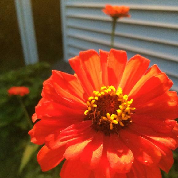 Meet your Posher, Cie - Picture 1 of 1