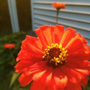 Meet your Posher, Cie