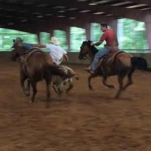 Meet your Posher, Blake