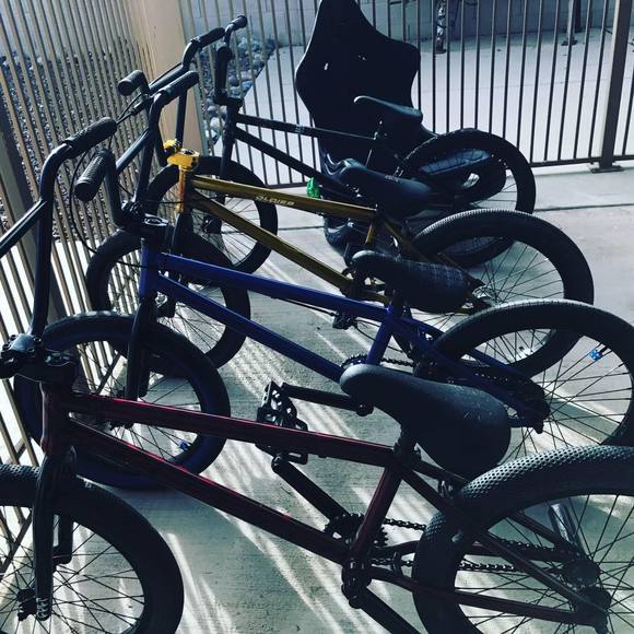 Meet your Posher, Gaven - Picture 1 of 1